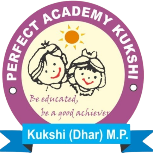 Perfect Academy